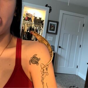 Meet your Posher, Izzy